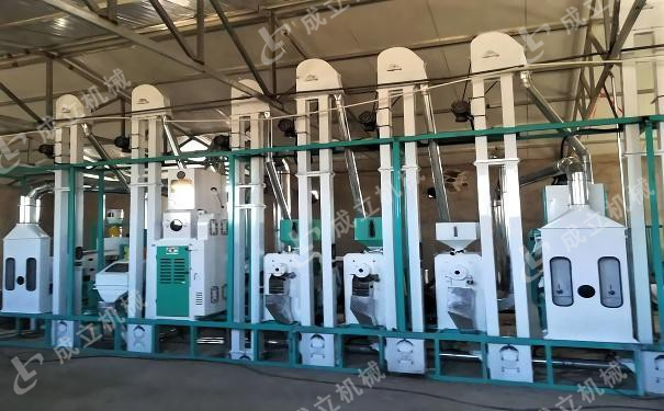 十堰20噸大米加工設備安裝完成